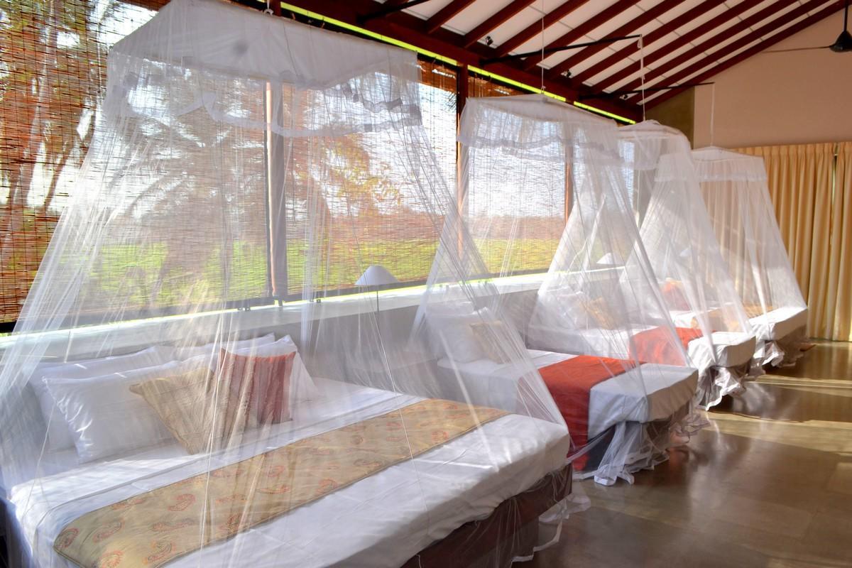 Kethaka Aga Hotel Tissamaharama Ngoại thất bức ảnh
