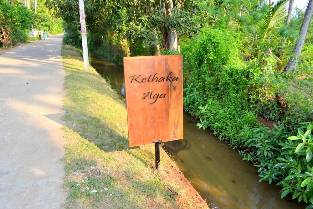 Kethaka Aga Hotel Tissamaharama Ngoại thất bức ảnh